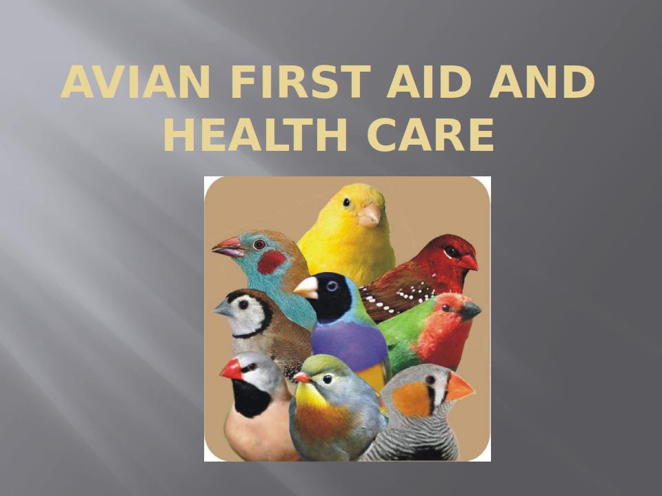 20180227 Avian First Aid and Health Care 